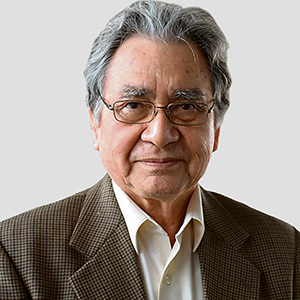 Manuel Burga Díaz